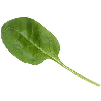PureSpoon