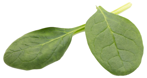PureSpoon