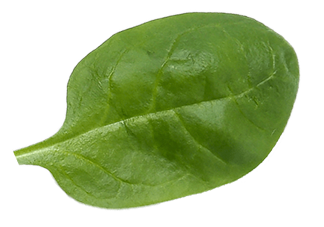 PureSpoon